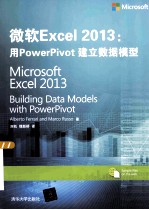 微软Excel 2013  用PowerPivot建立数据模型