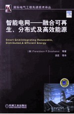 智能电网 融合可再生、分布式及高效能源