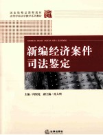 新编经济案件司法鉴定