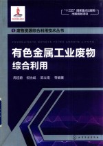 废物资源综合利用技术丛书  有色金属工业废物综合利用