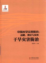 中国水旱灾害防治 战略、理论与实务 干旱灾害防治 第6卷