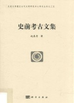 北京大学震旦古代文明研究中心学术丛书 35 史前考古文集