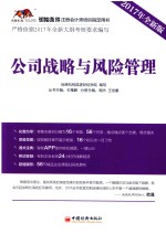 公司战略与风险管理 2017年全新版