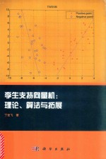 孪生支持向量机 理论、算法与拓展