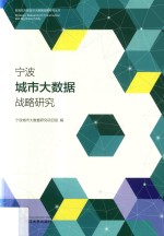 宁波城市大数据战略研究