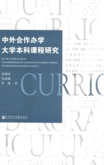 中外合作办学大学本科课程研究