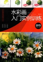 水彩画实用参考大系  水彩画入门实例训练  静物