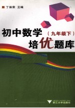 初中数学培优题库 九年级 下