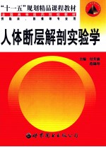 人体断层解剖实验学