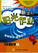 新课程阳光作业新课标人教版 化学九年级 上