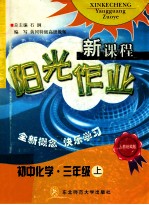 新课程阳光作业人教统编版  初中化学三年级  上