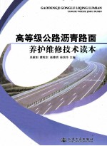 高等级公路沥青路面养护维修技术读本