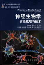 神经生物学实验原理与技术