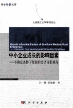 中小企业成长的影响因素 不确定条件下资源的经济寻租视角