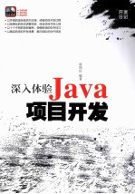 深入体验Java项目开发