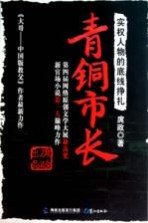 青铜市长 实权人物的底线挣扎