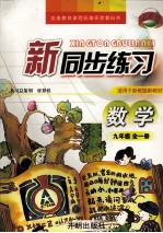 义务教育课程标准实验教科书 新同步练习 数学 九年级 全1册 适用于浙教版新教材