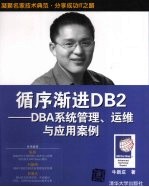 循序渐进DB2  DBA系统管理、运维与应用案例