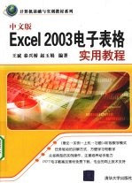 中文版Excel 2003电子表格实用教程