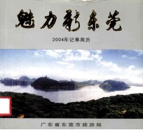 魅力新东莞 2004年记事周年