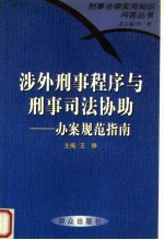 涉外刑事程序与刑事司法协助  办案规范指南