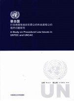 联合国打击跨国有组织犯罪公约和反腐败公约程序问题研究