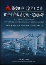 潞安矿业 集团 公司矿井生产劳动定额定员标准