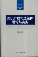 知识产权司法保护理论与实务