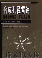 合成孔径雷达目标检测理论、算法及应用