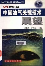 21世纪初中国油气关键技术展望