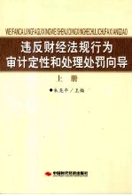 违反财经法规行为审计定性和处理处罚向导  上