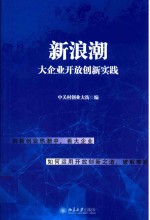 新浪潮 大企业开放创新实践