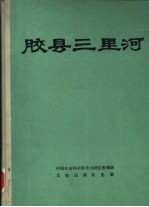 胶县三里河 中国田野考古报告集 考古学专刊 丁种第三十二号