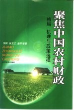 聚焦中国农村财政 格局 机理与政策选择