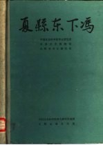 夏县东下冯 中国田野考古报告集 考古学专刊 丁种第三十五号