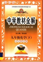 中学教材全解 化学 九年级 下 山东教育版