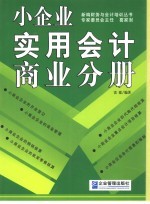 小企业实用会计 商业分册