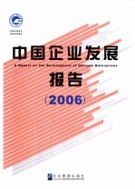 中国企业发展报告 2006