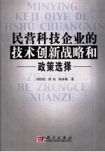 民营科技企业的技术创新战略和政策选择