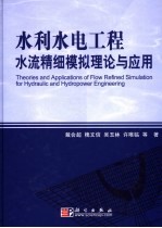 水利水电工程水流精细模拟理论与应用