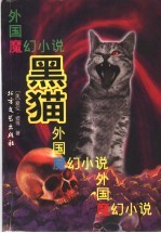 黑猫 外国魔幻小说