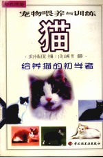 宠物喂养与训练  猫