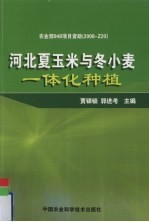 河北夏玉米与冬小麦一体化种植