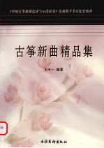 古筝新曲精品集