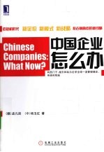 中国企业怎么办 目标、标杆对比和创新战略等的应用和实践