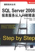 SQL Server 2008报表服务从入门到精通