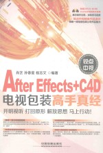 锐点中视After Effects+C4D电视包装高手真经