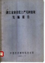 浙江龙泉青瓷上严儿村窑址发掘报告