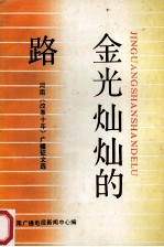 金光灿灿的路 河南《改革十年》广播征文选