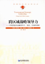 跨区域战略领导力 不同层面的战略领导力 组织、区域和国家